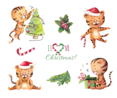 aquarell-set von aufklebern für neujahr und weihnachten mit tigern, tannenzweigen und stechpalme. herzlichen glückwunsch zum winterurlaub. png