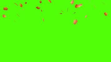 feuilles d'automne tombant animation de haut en bas sur fond d'écran vert avec rotation. L'animation 4k de l'automne laisse un effet de chute sur l'arrière-plan de la clé chroma. video