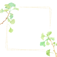 acquerello disegnato a mano ramo di ginkgo cornice banner quadrato sfondo png