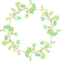 cadre de couronne de cercle de branche de ginkgo dessiné à la main aquarelle png