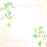 watercolor hand drawn ginkgo branch frame square banner background png