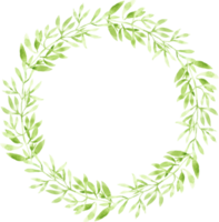 watercolor green leaves circle wreath frame png