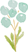 watercolor green leaf element png
