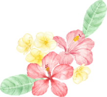 watercolor hand draw summer red hibiscus flower bouquet elements png