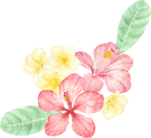 vattenfärg hand dra sommar röd hibiskus blomma bukett element png