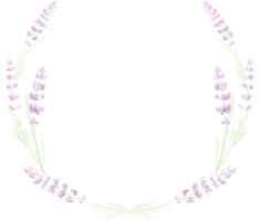 corona de lavanda acuarela png