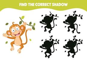 Find The Correct Shadow Activity vector