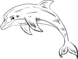 Dolphin drawing, illustration, vector on white background.