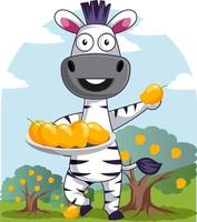 Zebra with mangos, illustration, vector on white background.