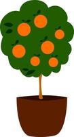 Árbol de naranja en maceta, ilustración, vector sobre fondo blanco