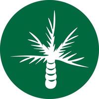 Palm tree, icon illustration, vector on white background