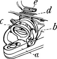 Bobbin Detail of Wheeler and Wilson Sewing Machine, vintage illustration vector