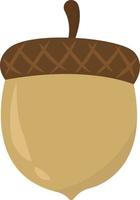 Acorn, illustration, vector on white background.