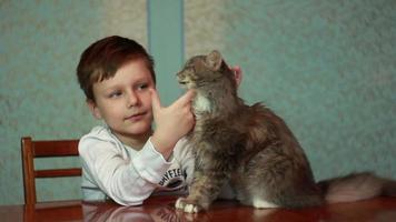 niño jugando con gato video