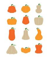 Set of different pumpkins. Vector illustration. Pumpkins of different colors and shapes. Pumpkin collection isolated on white background. Design element