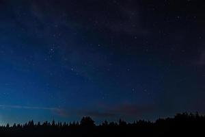 cielo estrellado nocturno sobre el bosque. siluetas de árboles contra el telón de fondo de las estrellas. foto