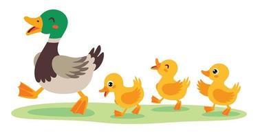 Cartoon Illustration Of Mother And Baby Ducks vector