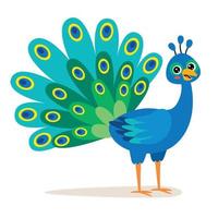 Cartoon Illustration Of A Peacock vector