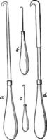 Hooks Used in the Process of Egg Blowing for the Purpose of Extracting Embryos, vintage illustration. vector