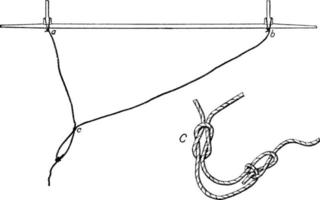 Bridle Knot, vintage illustration vector