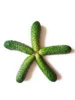 fresh cucumbers arranged in star shape isolated on white background photo