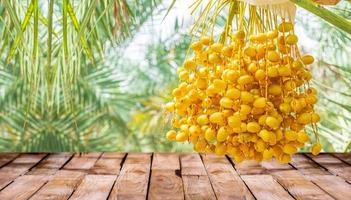 Beautiful  wooden floor and Barhi Dates palm yellow fruits field nature background, agriculture product standing showcase background, Barhi Dates palm tree garden and healthy food concept photo