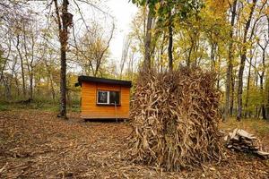 casa de guardabosques en el bosque de otoño con mazorca de maíz. foto