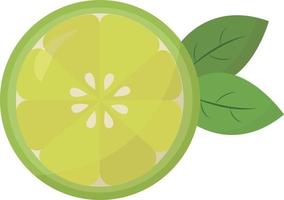 Green lime, illustration, vector on white background.