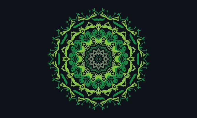 luxury mandala design vector background  vintage abstract floral pattern design