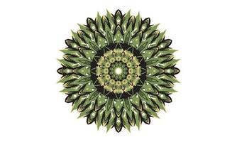 luxury mandala design vector background  vintage abstract floral pattern design