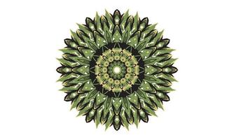 luxury mandala design vector background  vintage abstract floral pattern design