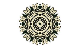 luxury mandala design vector background  vintage abstract floral pattern design