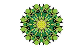 luxury mandala design vector background  vintage abstract floral pattern design