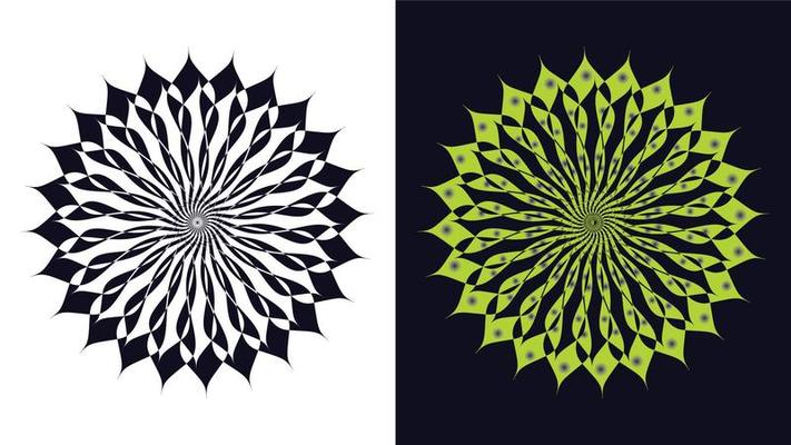 luxury mandala design vector background  vintage abstract floral pattern design