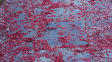 The floor full of the exploded red fireworks pieces photo