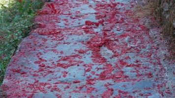 The floor full of the exploded red fireworks pieces photo