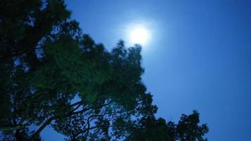 The moon sky view with the round moon in the sky photo