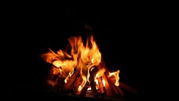 klein vreugdevuur met vlammend vonken Aan een zwart achtergrond, detailopname. camping Bij nacht video
