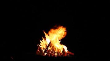 small bonfire with flaming sparks on a black background, close-up. Camping at night video