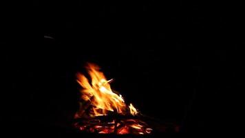 klein vreugdevuur met vlammend vonken Aan een zwart achtergrond, detailopname. camping Bij nacht video