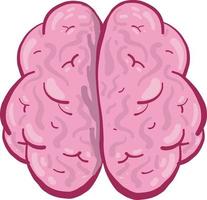 Pink brain, illustration, vector on white background.