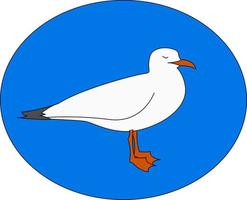 White gull, illustration, vector on white background.