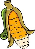 Fresh corn, illustration, vector on white background