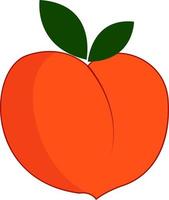 Big peach, illustration, vector on white background.