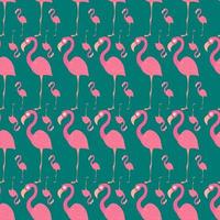 Flamingo pattern , illustration, vector on white background