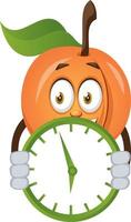 Apricot with clock, illustration, vector on white background.