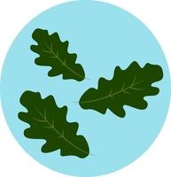 Oak leaf, illustration, vector on white background.