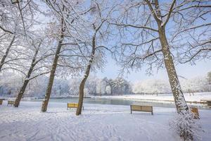 Winter landscape with snow covered forest. Sunny day, outdoor city park, trail or pathway and benches relaxing scenic view. Seasonal winter nature landscape, frozen woodland, serene peacefulness photo