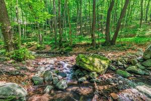 Cascades on clear creek in forest. Summer mountain stream landscape, soft sunlight. Hiking and travel outdoors adventure woodland, calm creek. Serene nature closeup, rocks, moss fresh green trees photo