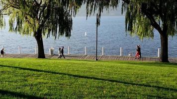 parque de la ciudad, lago, sauce, gente caminando video